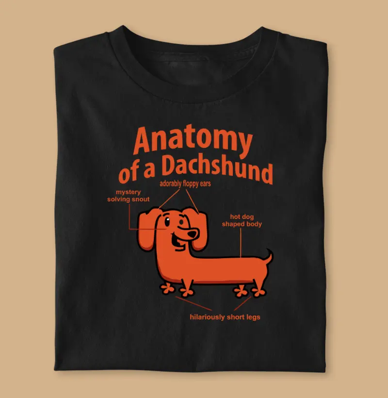 Anatomy dachshund