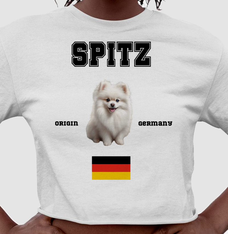 Spitz Alemão 