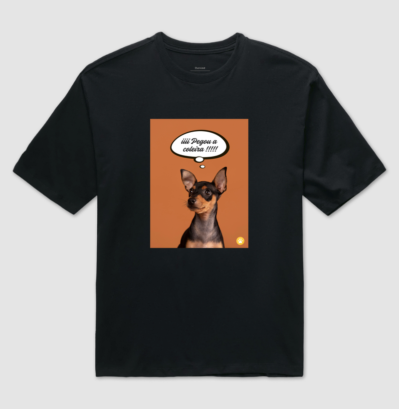 Camiseta Vou passear