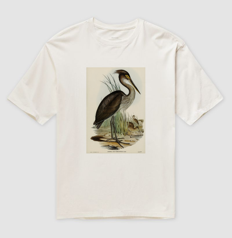 Great-billed Heron