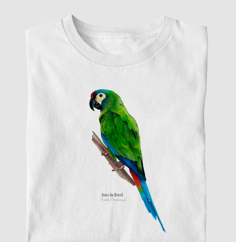 Aves do Brasil II - Arara Maracanã
