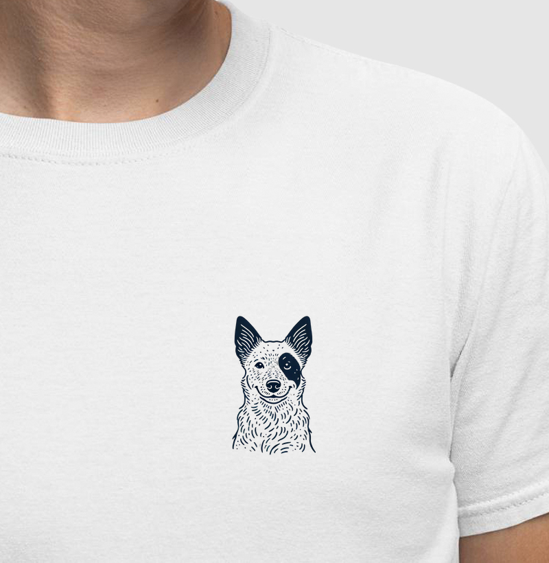 Blue Heeler - Linhas
