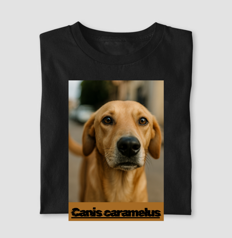 Camisa Caramelo