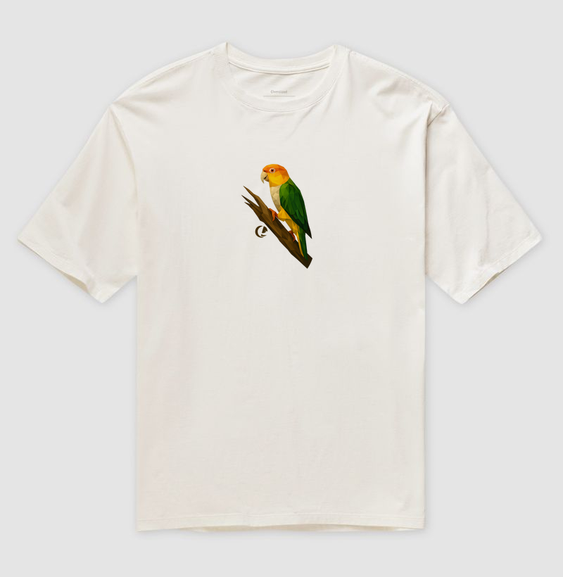 Camiseta Oversized Marianinha Vitral