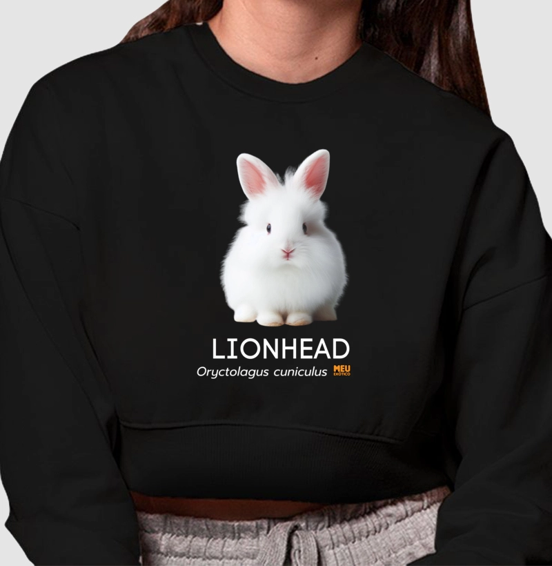 Coelho Lionhead