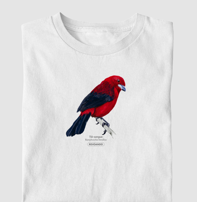 Aves do Brasil - Tiê Sangue - Infantil