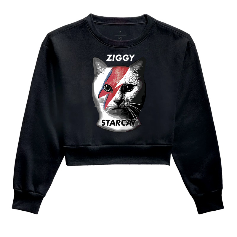 STARCAT