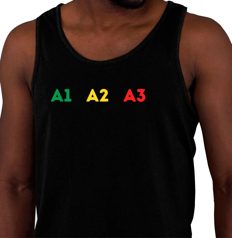 A1 A2 A3