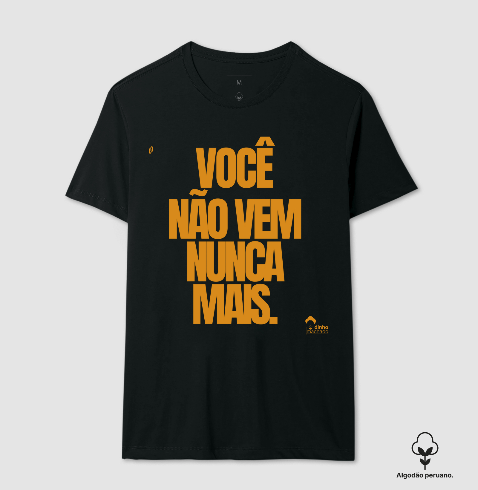 702 - DINHO MACHADO - VOCÊ NÃO VEM MAIS