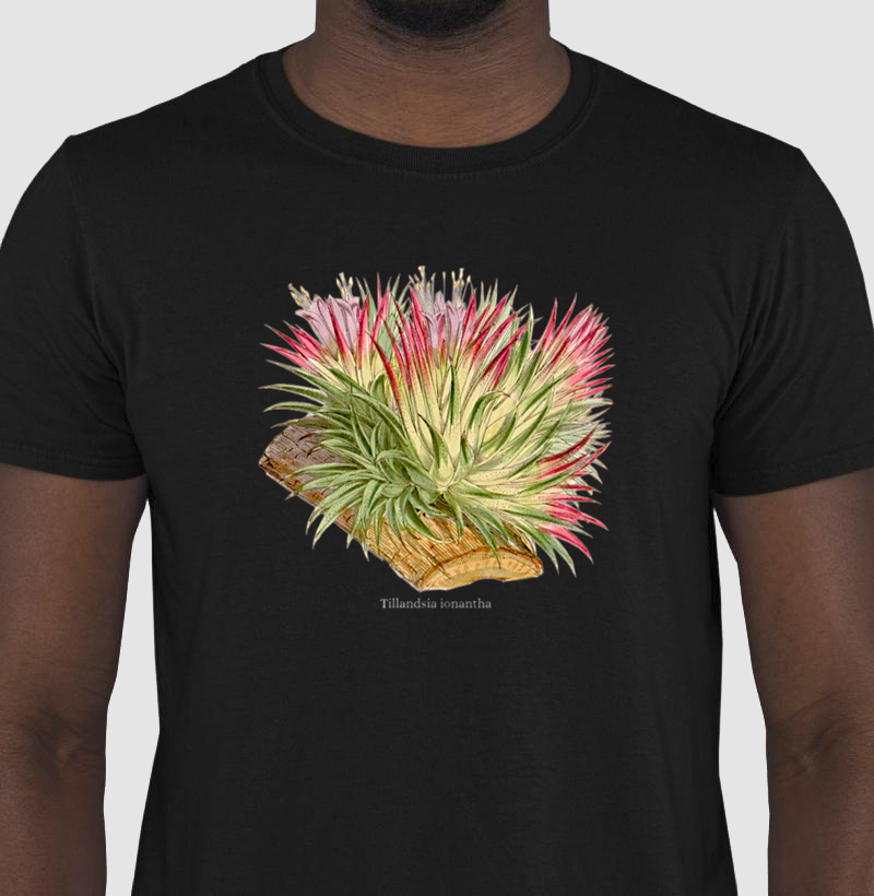 Camiseta Tshirt Tillandsia ionantha