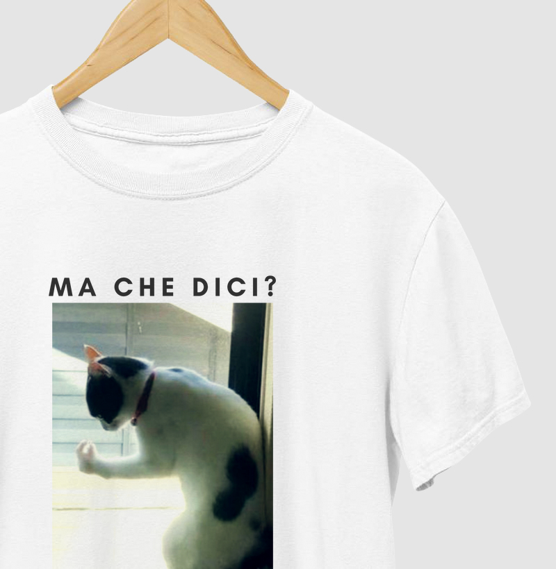 GATTO INDIGNATO