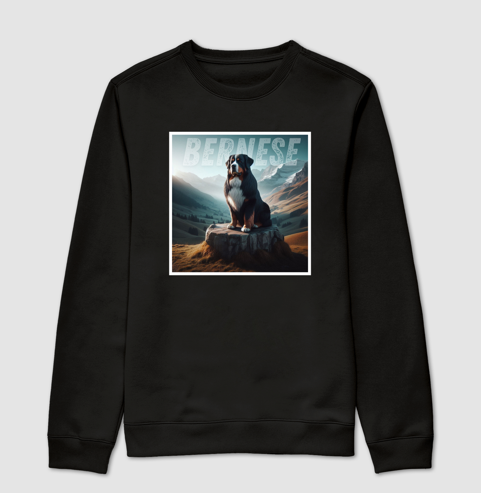 Bernese da Montanha
