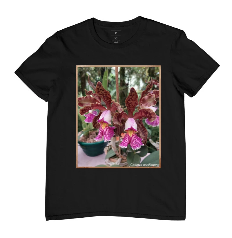 Cattleya