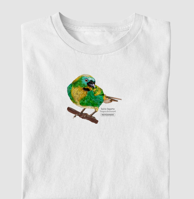 Aves do Brasil - Saíra-lagarta - Infantil