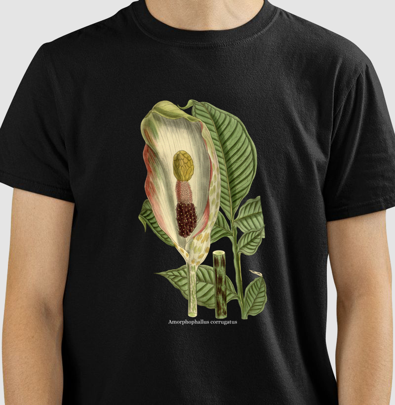 Camiseta(Tshirt) Amorphophallus corrugatus