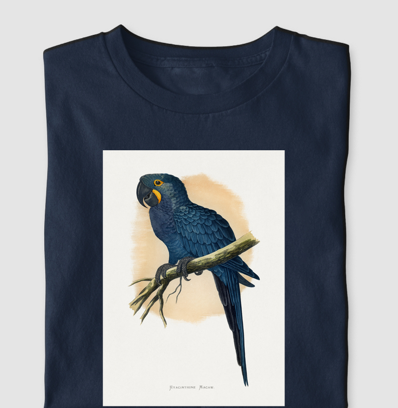 Arara-azul