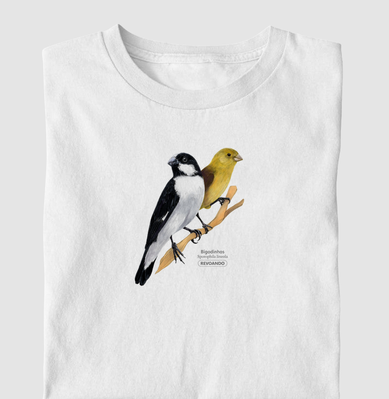 Aves do Brasil - Casal de Bigodinhos - Infantil