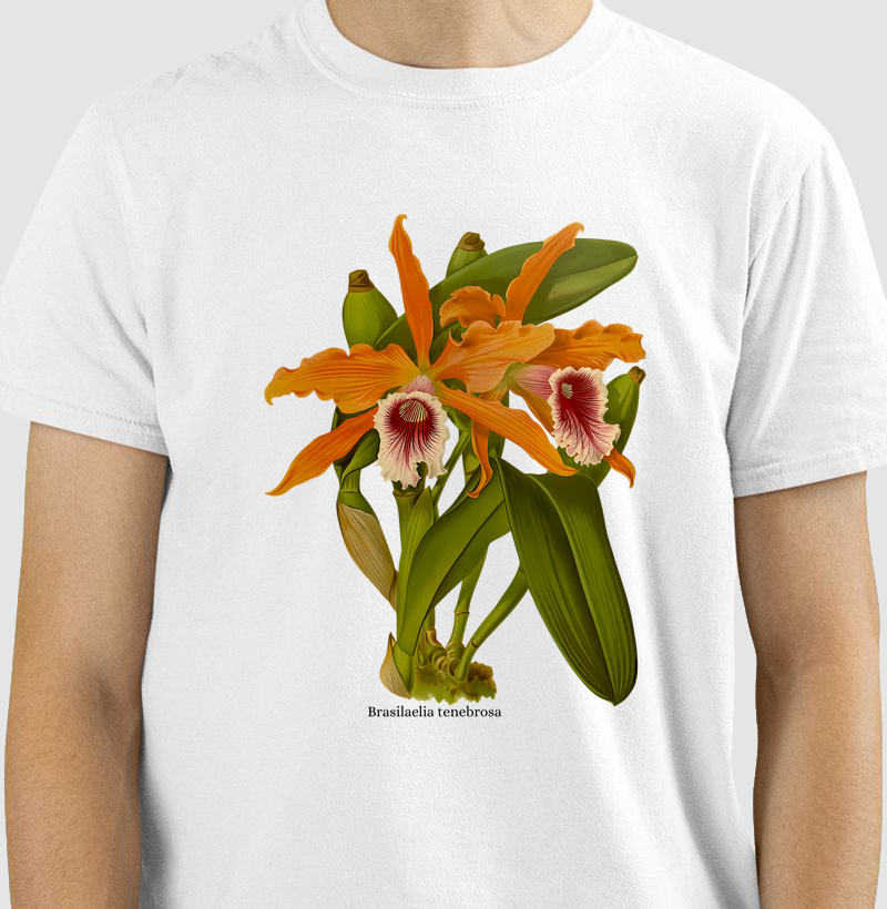 Camiseta Laelia tenebrosa t-shirt