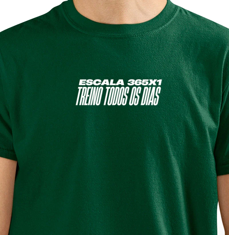 ESCALA 365X1