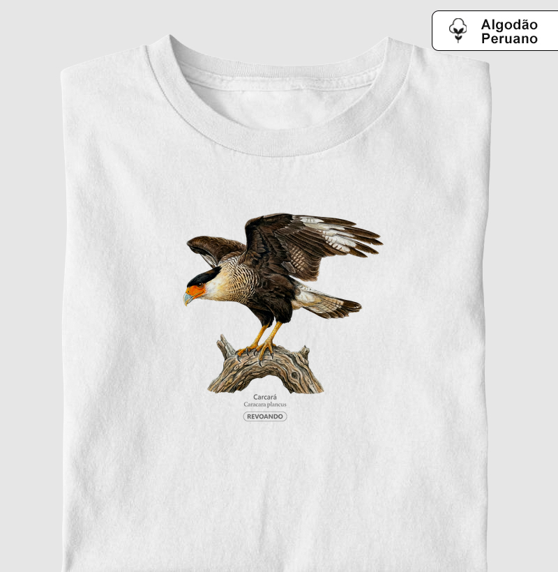 Traços Alados - Carcará - Algodão Peruano