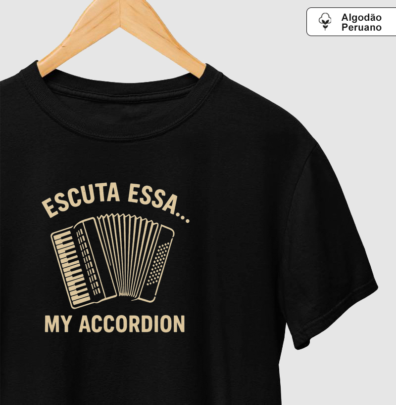Escuta essa my accordion