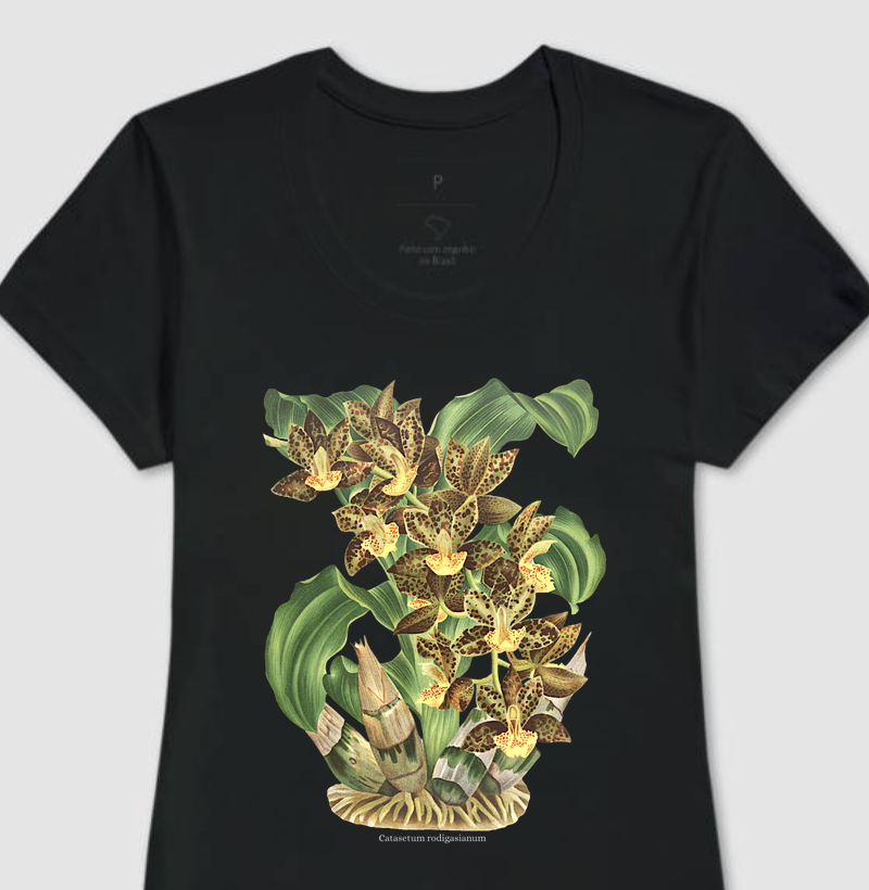 Camiseta Feminina Catsetum rodigasianum
