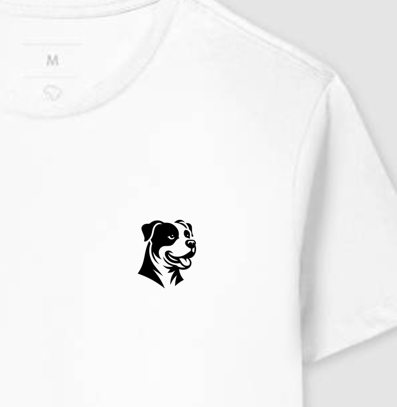 Camiseta B26