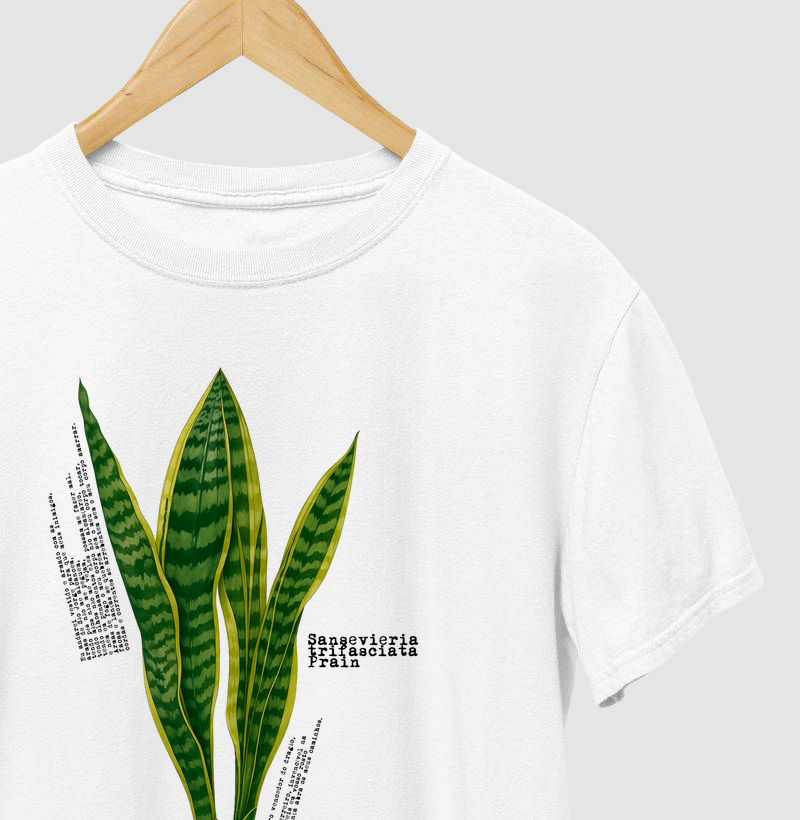 Sansevieria