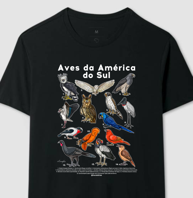 Aves da América do Sul - Modelo B