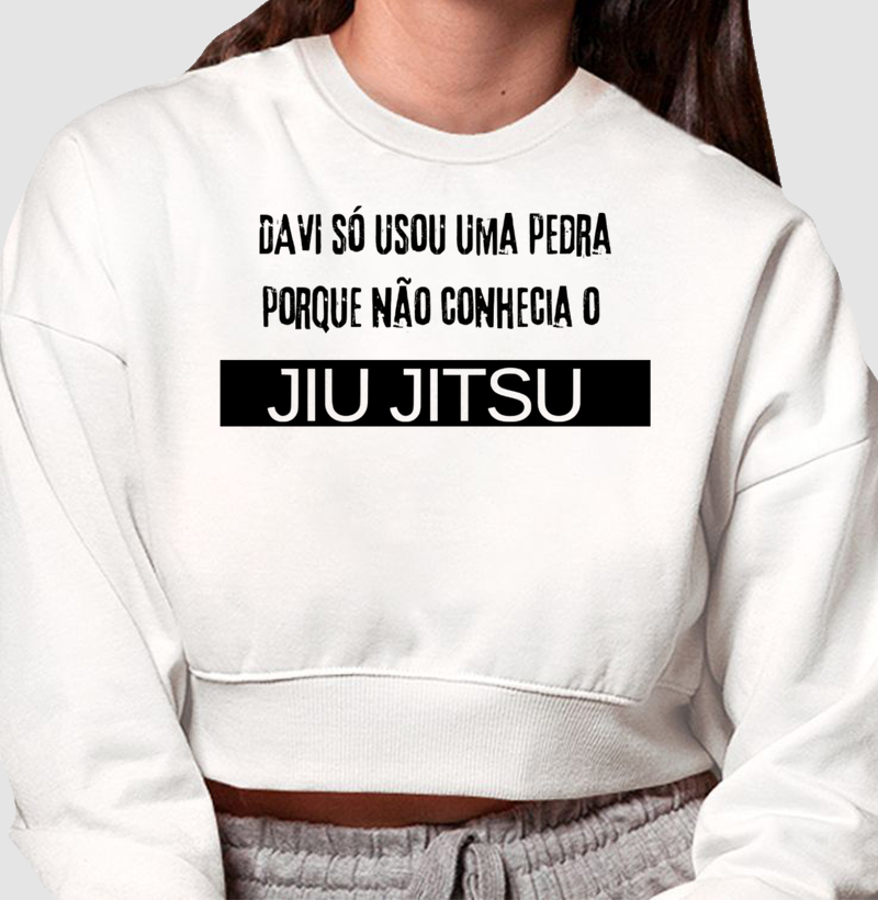 Davi só usou uma pedra porque não conhecia o Jiu Jitsu 
