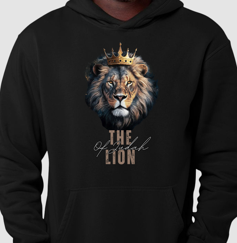 Aviadores de Cristo - Lion of Judah