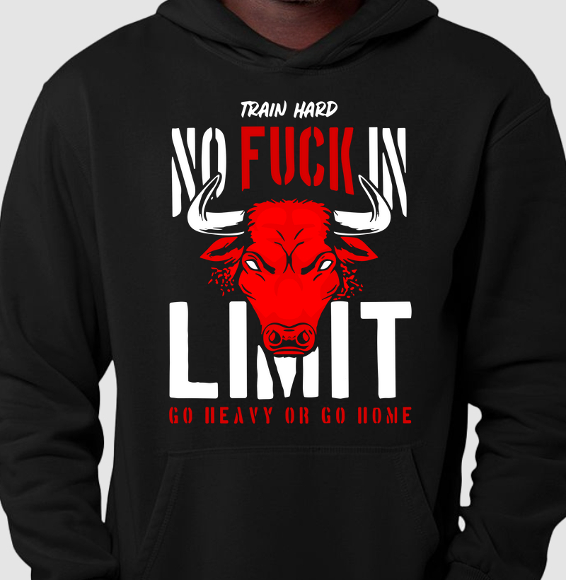 Hoodie Moletom Premium