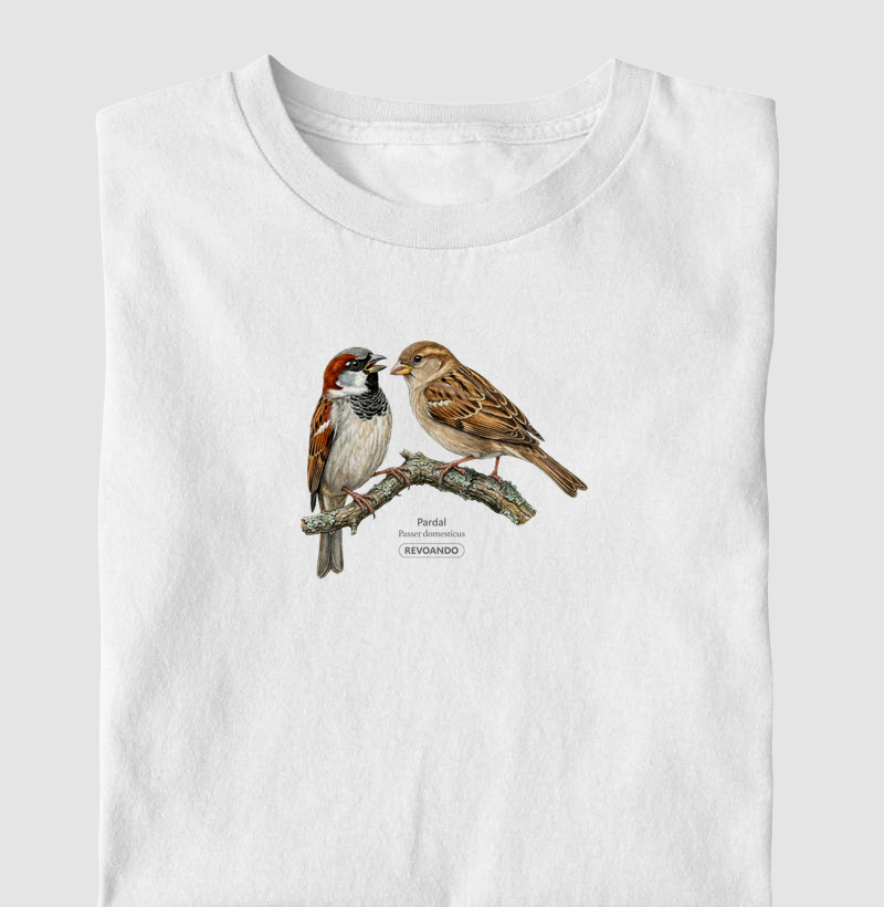 Traços Alados - Pardal