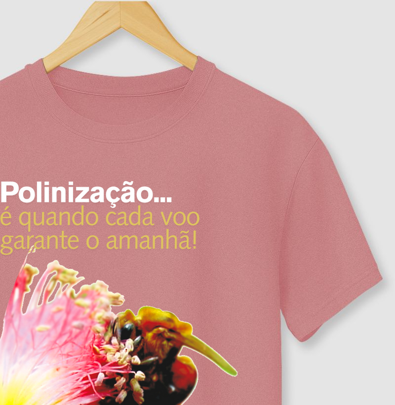 Polinização 