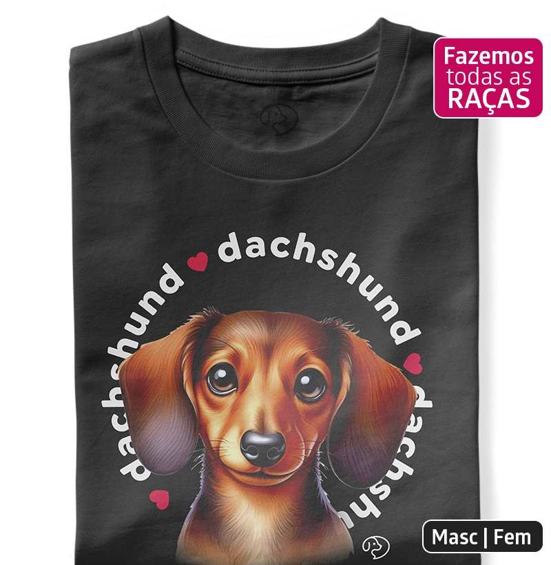 Dachshund Puppy