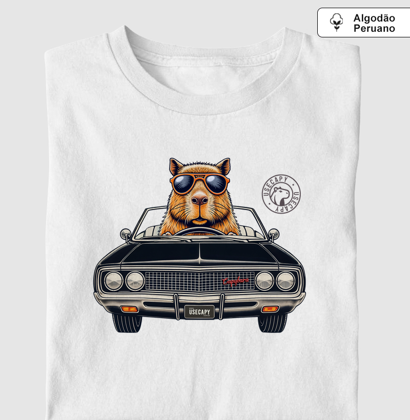 Dodge Capy