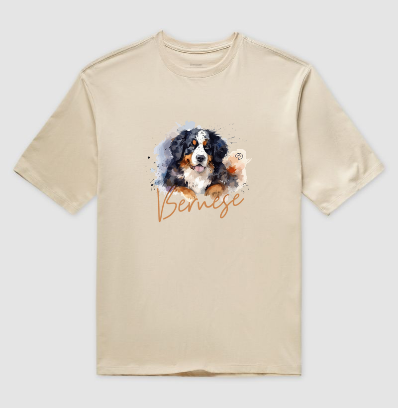 Bernese Splash 2