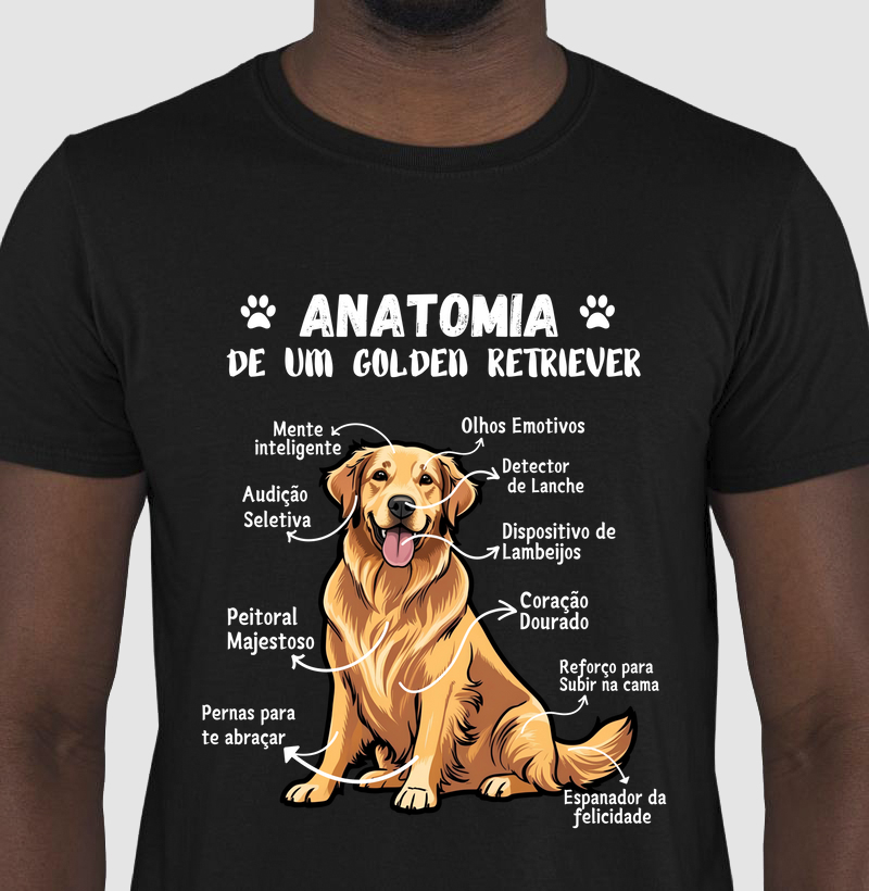 Anatomia do Golden Retriever 2