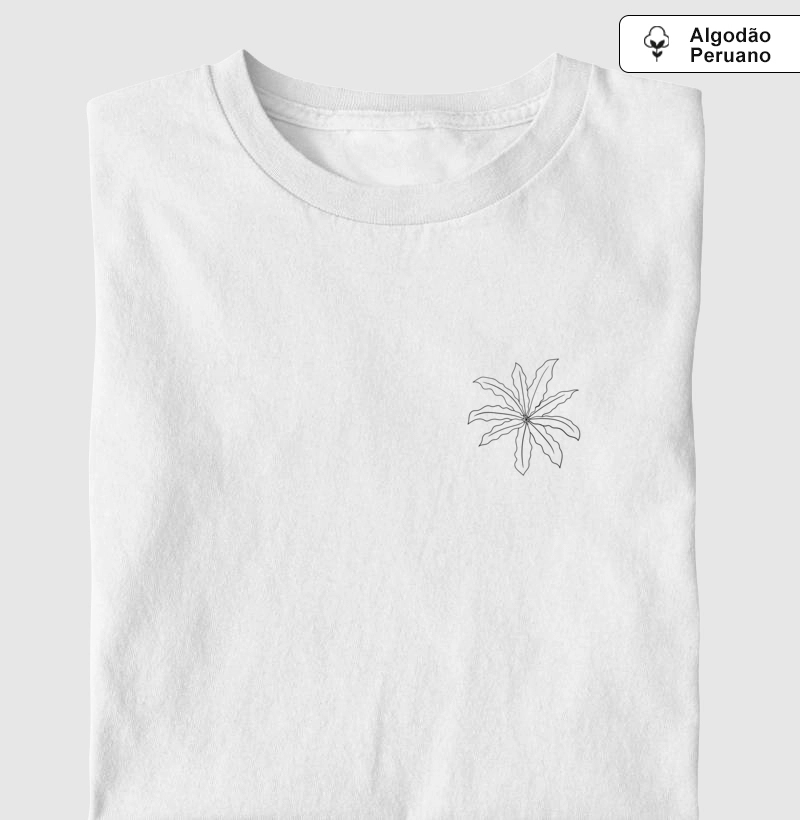 Asplênio Mini