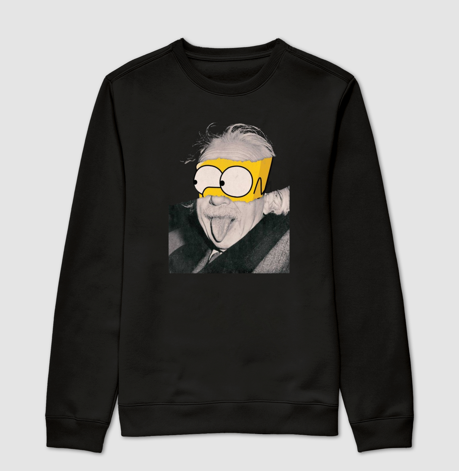 Homer Einstein