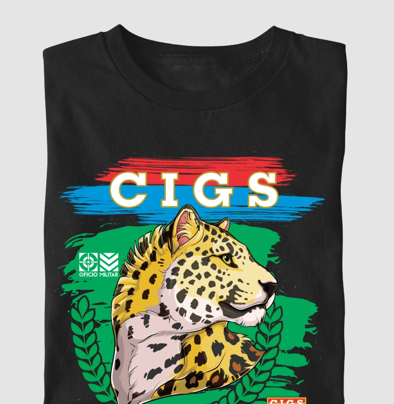 CIGS