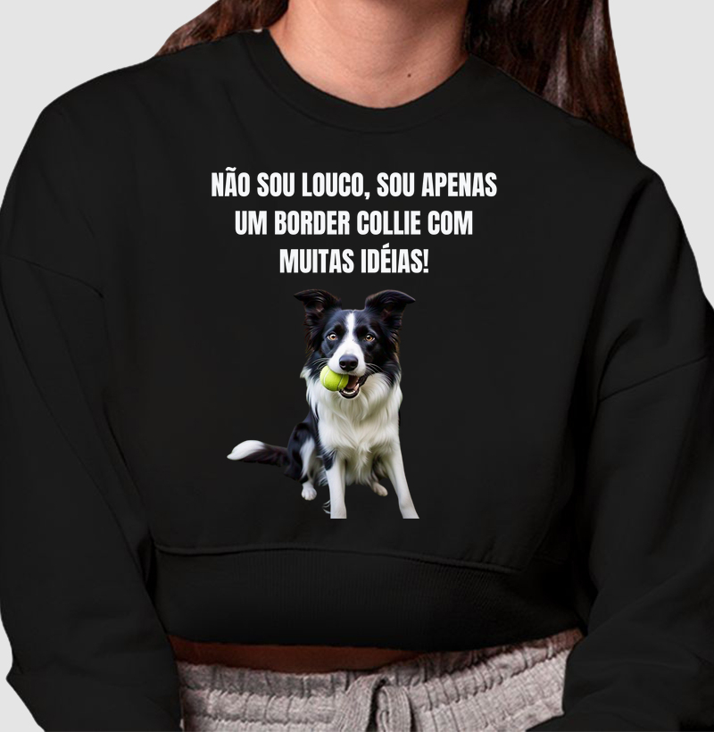 Não sou louco, sou um border collie com muitas idéias