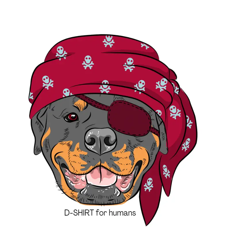 Cão pirata
