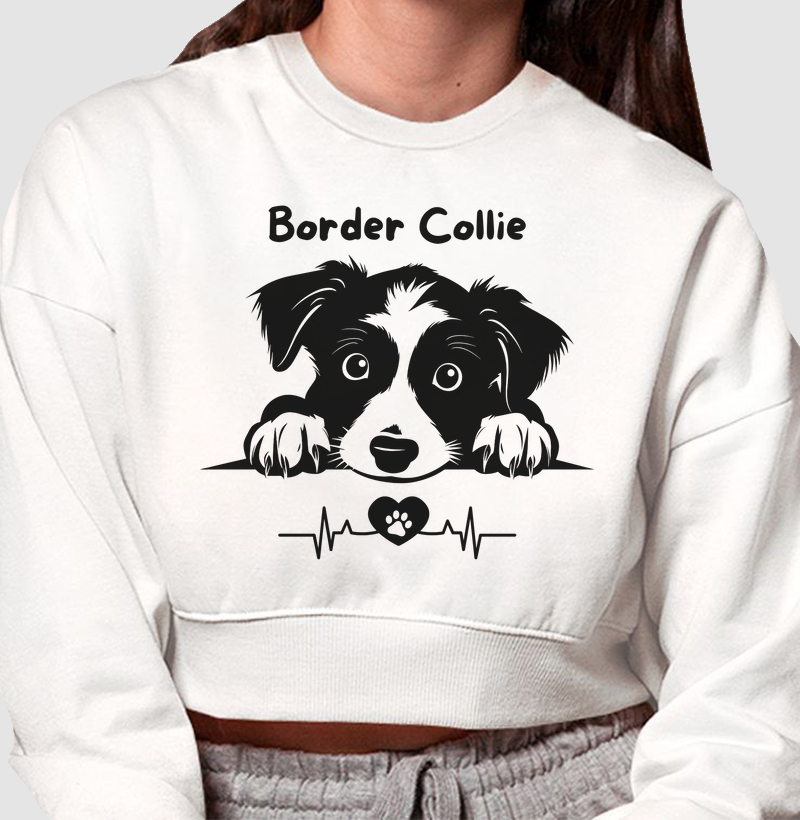 Border eletro
