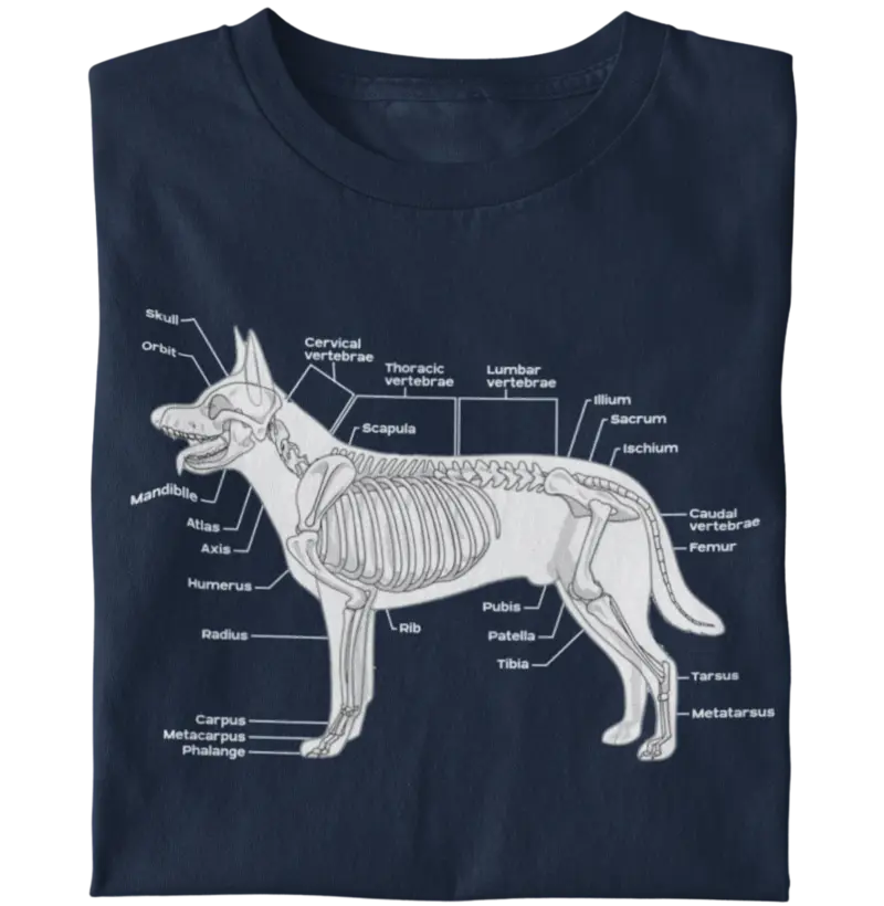 Dogs Bone