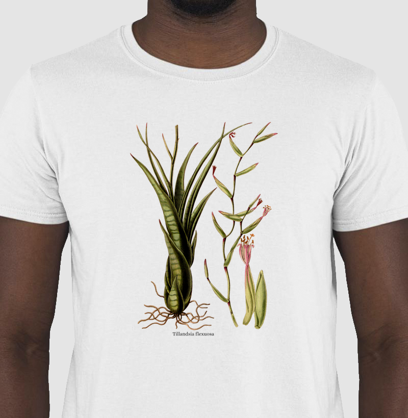 Camiseta Tshirt Tillandsia flexuosa