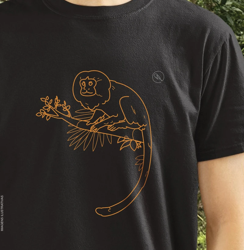 Mico-leão-dourado 2