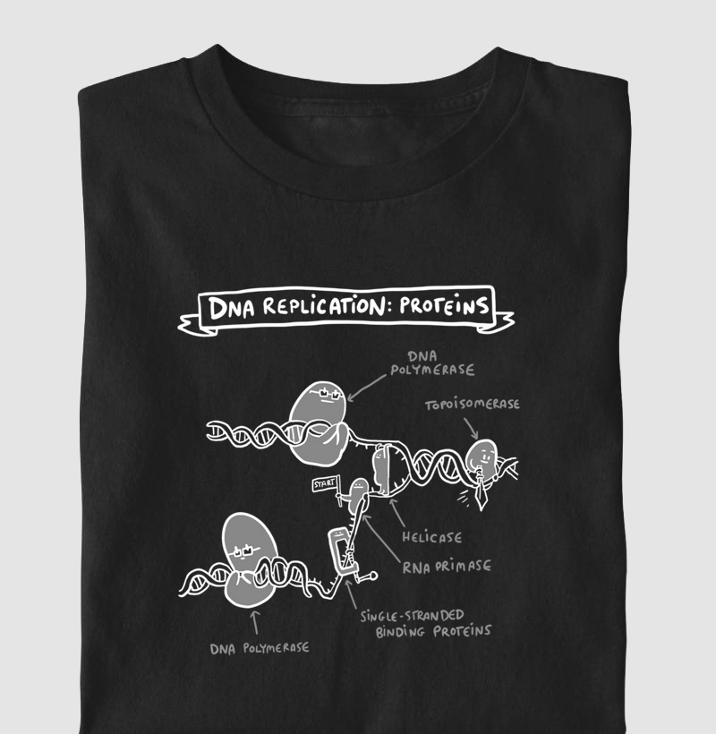 Camisa DNA Replication