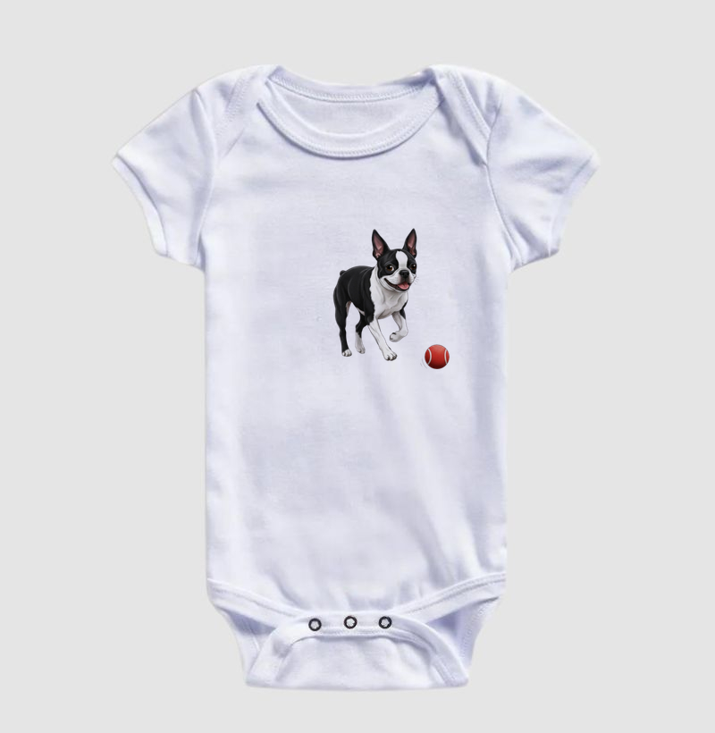 Boston Terrier