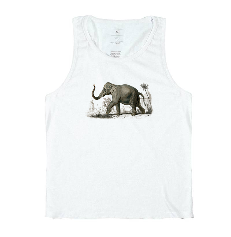 Asiatic elephant